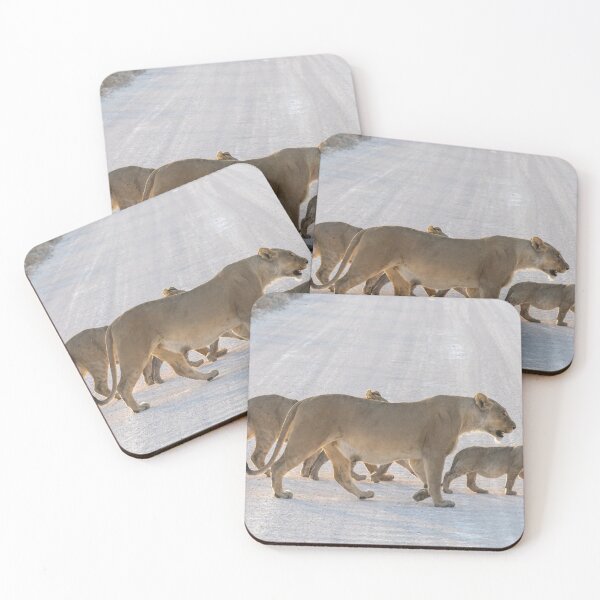 Item preview, Namibia. Etosha National Park. Lioness with the Cubs Crossing Road. designed and sold by vadim19.