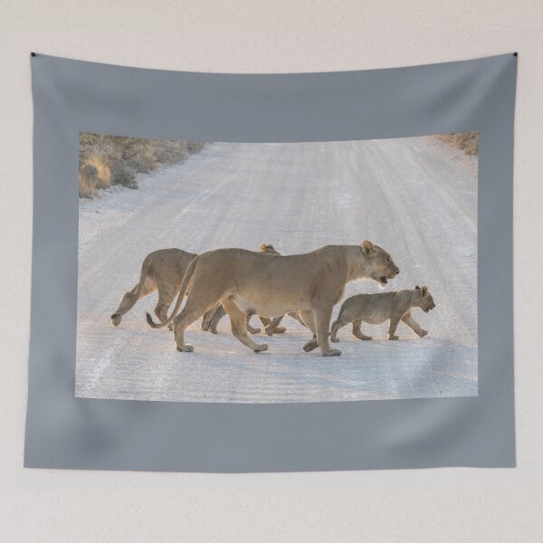 Item preview, Namibia. Etosha National Park. Lioness with the Cubs Crossing Road. designed and sold by vadim19.