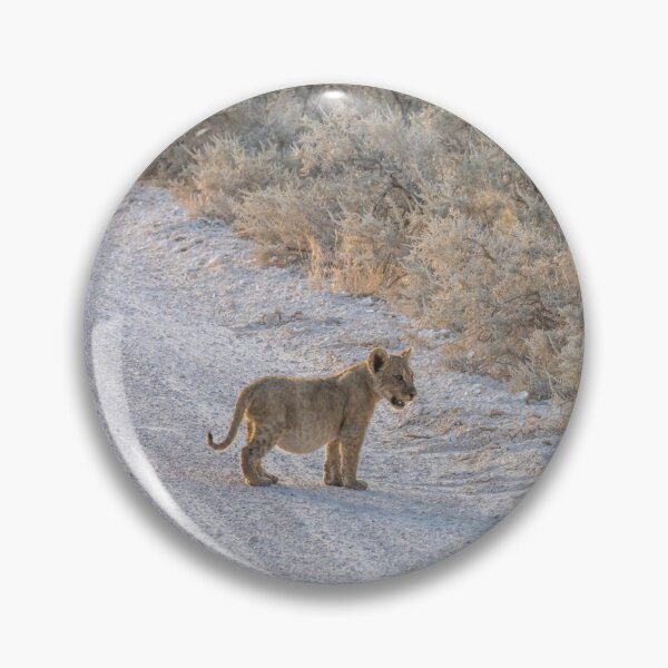 Item preview, Namibia. Etosha National Park. Lion Cub. designed and sold by vadim19.