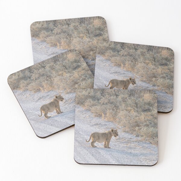 Item preview, Namibia. Etosha National Park. Lion Cub. designed and sold by vadim19.