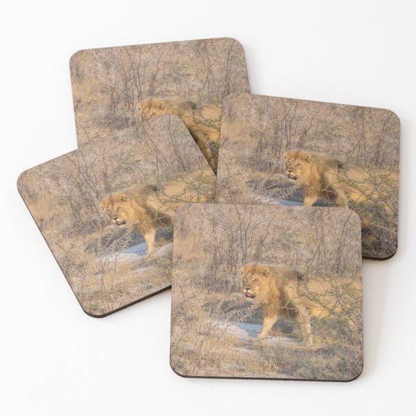 Item preview, Namibia. Etosha National Park. Lion. designed and sold by vadim19.