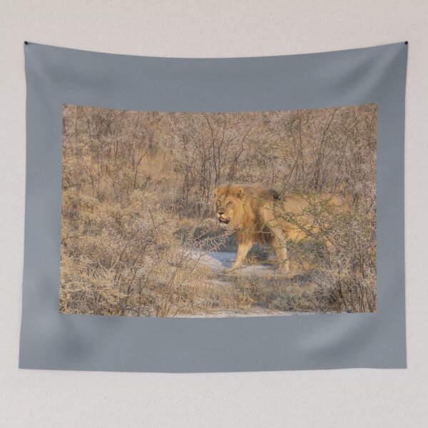 Item preview, Namibia. Etosha National Park. Lion. designed and sold by vadim19.