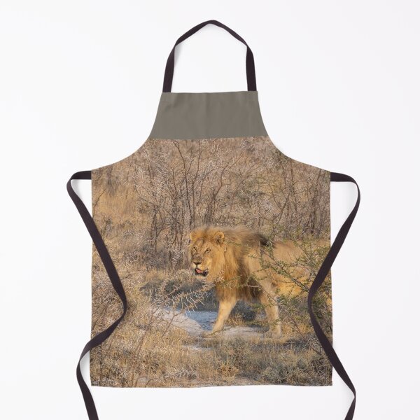 Item preview, Namibia. Etosha National Park. Lion. designed and sold by vadim19.
