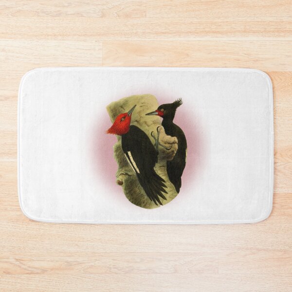 Item preview, beautiful couple of  Magellanic Woodpecker classic vintage style. designed and sold by HEMRO.