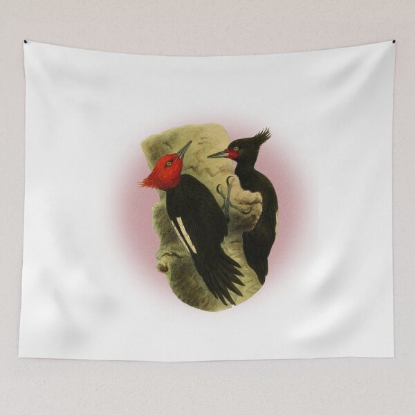 Item preview, beautiful couple of  Magellanic Woodpecker classic vintage style. designed and sold by HEMRO.