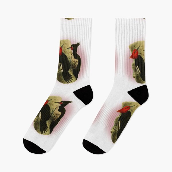 Item preview, beautiful couple of  Magellanic Woodpecker classic vintage style. designed and sold by HEMRO.