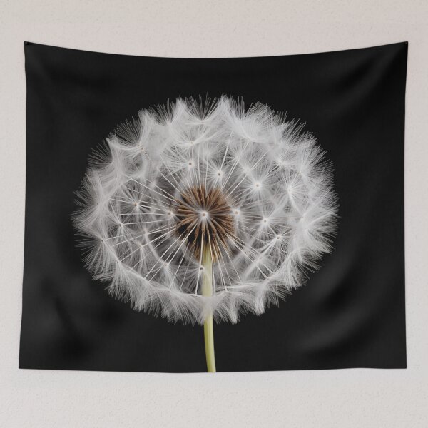 Item preview, Dandelion, Digital art designed and sold by LiliesPrint.