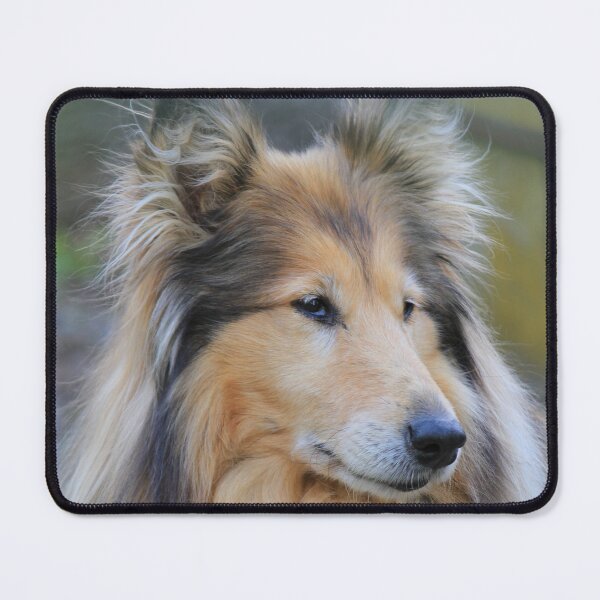 Item preview, Rough Collie Gold designed and sold by KarenWoodArt.