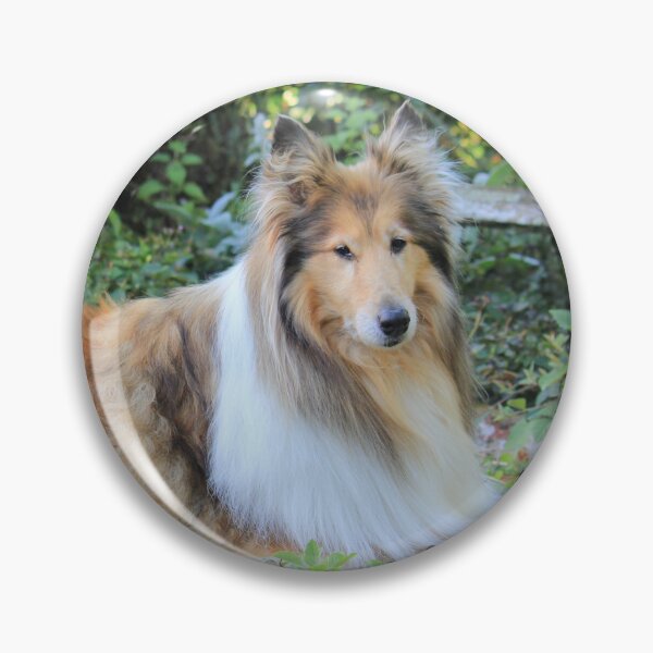 Item preview, Collie in the Garden designed and sold by KarenWoodArt.