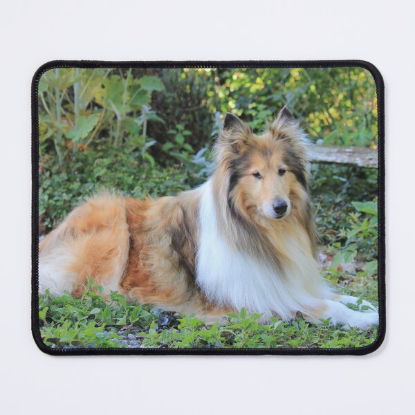 Item preview, Collie in the Garden designed and sold by KarenWoodArt.