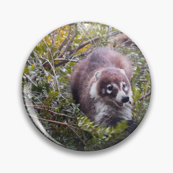 Item preview,  Playful Coati designed and sold by Ruth Jolly.