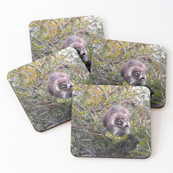 Item preview,  Playful Coati designed and sold by Ruth Jolly.