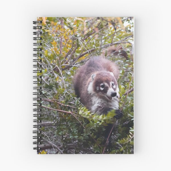 Item preview,  Playful Coati designed and sold by Ruth Jolly.