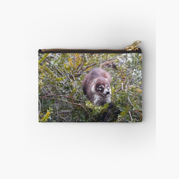 Item preview,  Playful Coati designed and sold by Ruth Jolly.