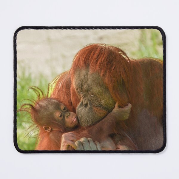 Item preview, Orangutan Mother Tender Moments designed and sold by rawshutterbug.