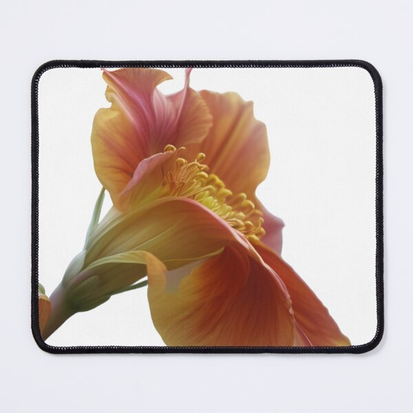 Item preview, Simply Beautiful designed and sold by HelloBeautyfull.