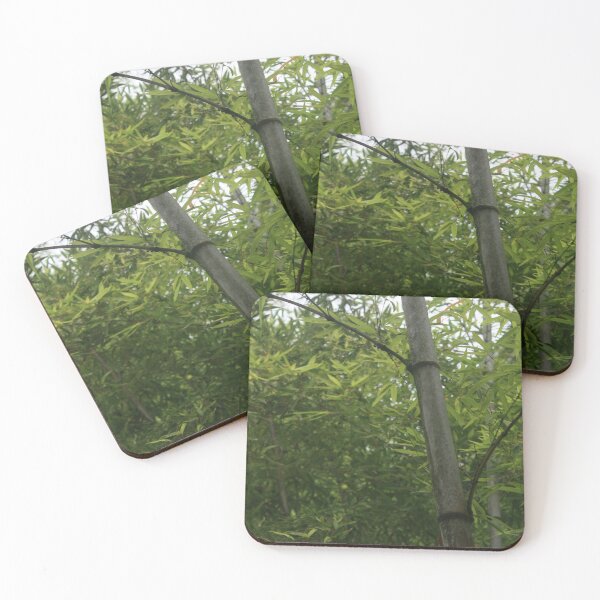 Item preview, Bamboo designed and sold by lizxberry.