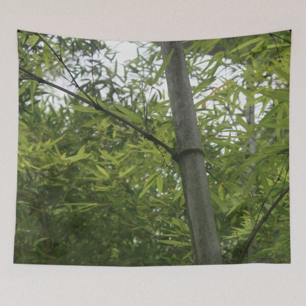 Item preview, Bamboo designed and sold by lizxberry.