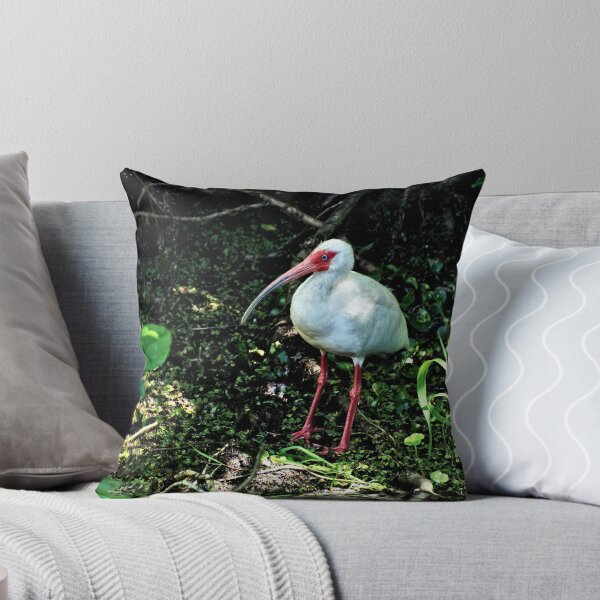 Item preview, White Ibis 2 - Florida designed and sold by jtrommer.