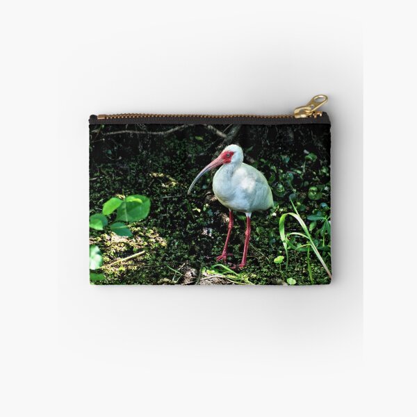 Item preview, White Ibis 2 - Florida designed and sold by jtrommer.