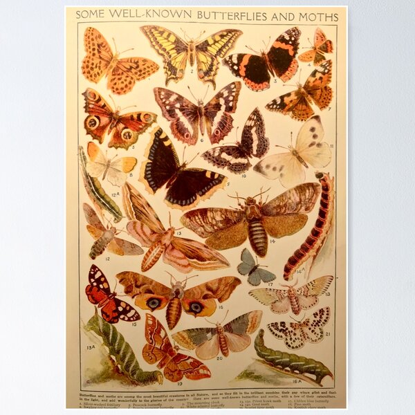 Item preview, Vintage Insects 1 designed and sold by Clarissa Sharp.