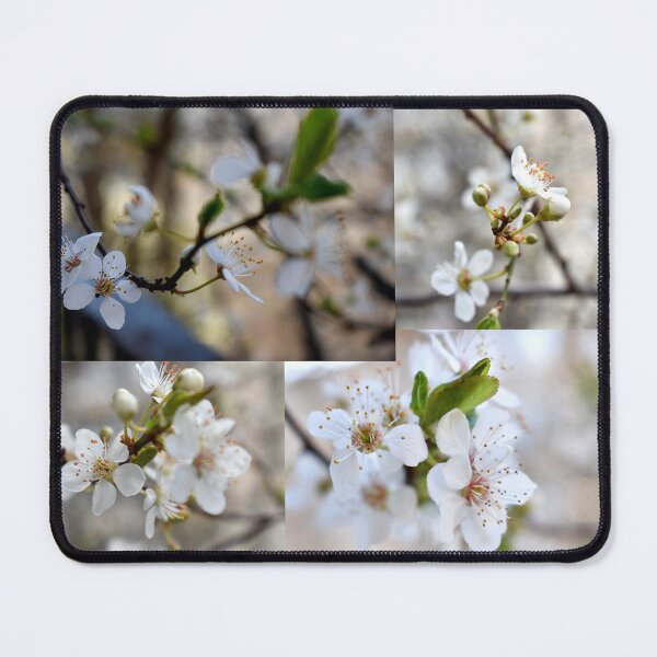 Item preview, Spring collage designed and sold by mariya-ivanova.