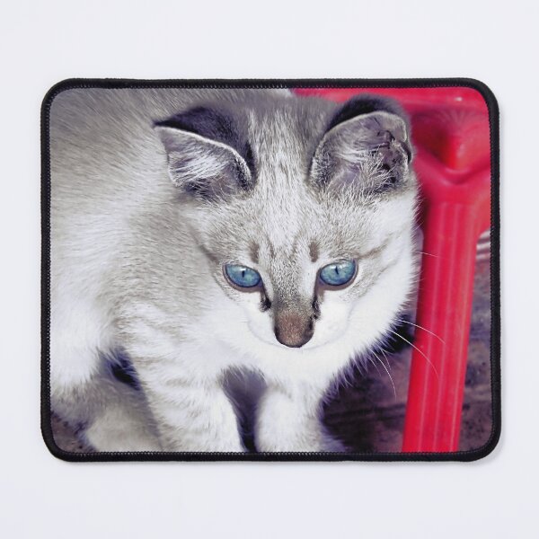 Item preview, frozen cat designed and sold by Stillherex.com Stillherex.es.