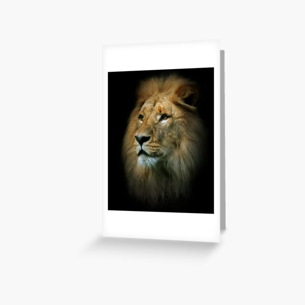 King Greeting Card