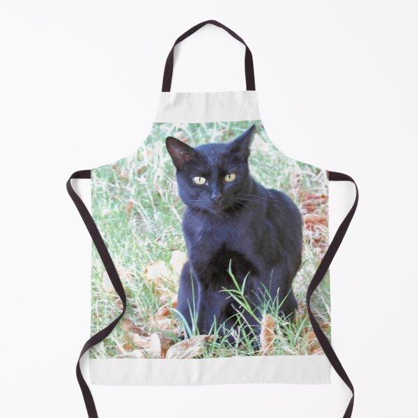 Item preview, Cat at reception designed and sold by Stillherex.com Stillherex.es.