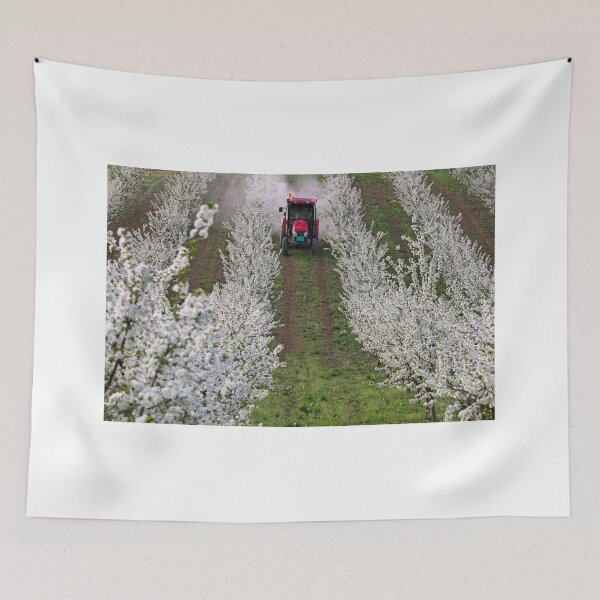 Item preview, tractor sprays insecticide in orchard agriculture industry  designed and sold by goceris.