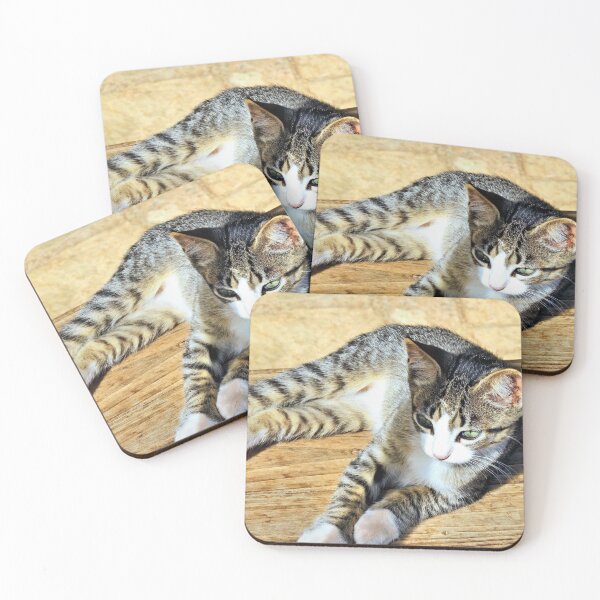Item preview, stretched cat designed and sold by Stillherex.com Stillherex.es.