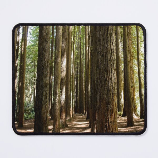 Item preview, The Redwoods designed and sold by Linda Lees.