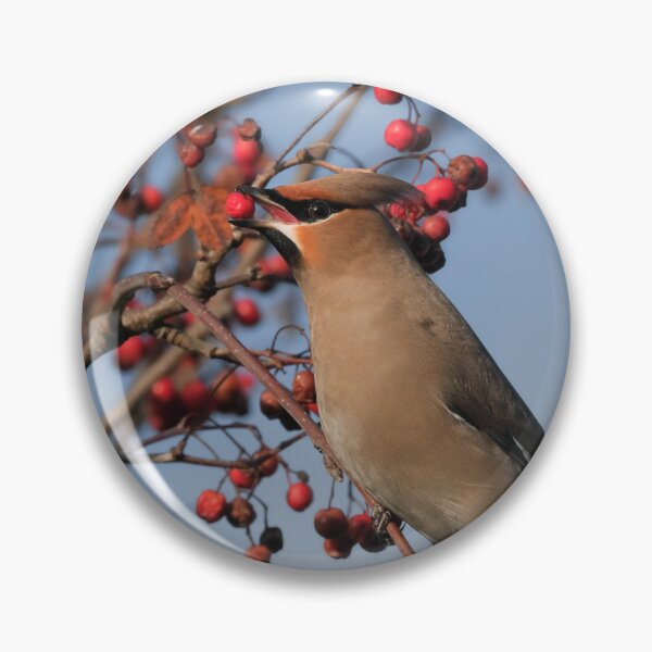 Item preview, Waxwing designed and sold by photobytableau.