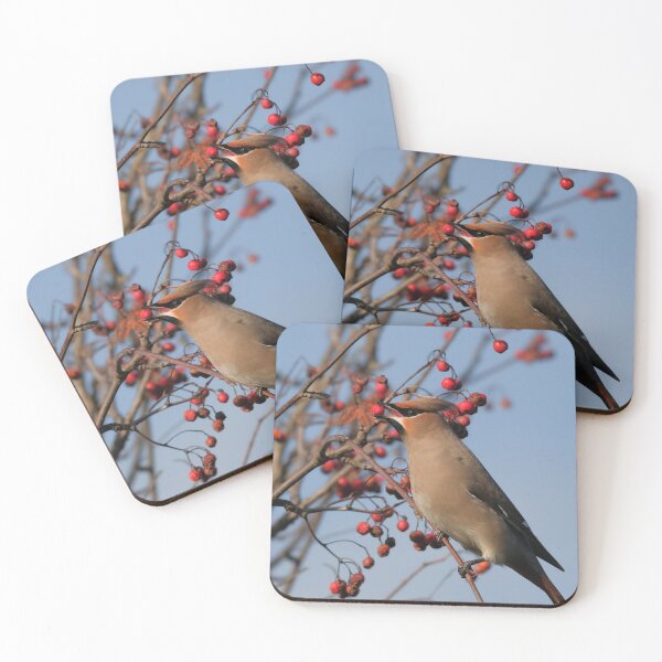 Item preview, Waxwing designed and sold by photobytableau.