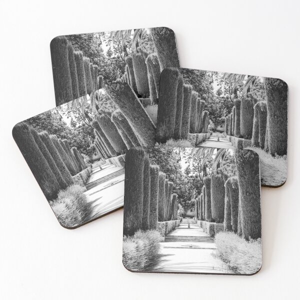 Item preview, Sunlit Alcazar Avenue Vertical bw designed and sold by eddiebarronshop.