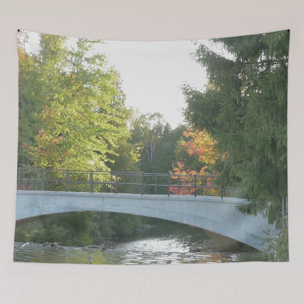 Item preview, Bridge In The Forest in Rockwood Park, Canada designed and sold by RelaxingEscapes.