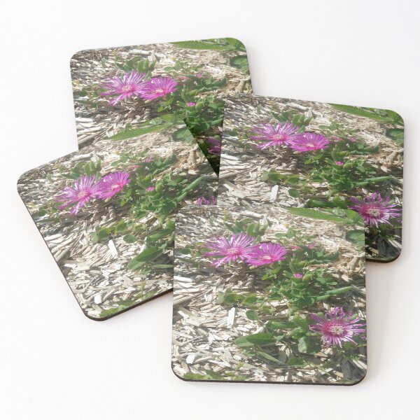 Item preview, "Ice plants" designed and sold by Isa-Isarielle.