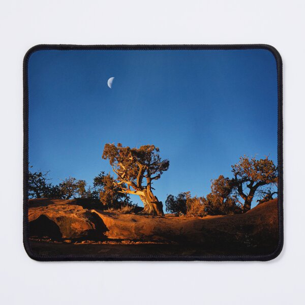 Item preview, Bristlecone Pine at Capitol Reef - Utah designed and sold by Kathy Weaver.
