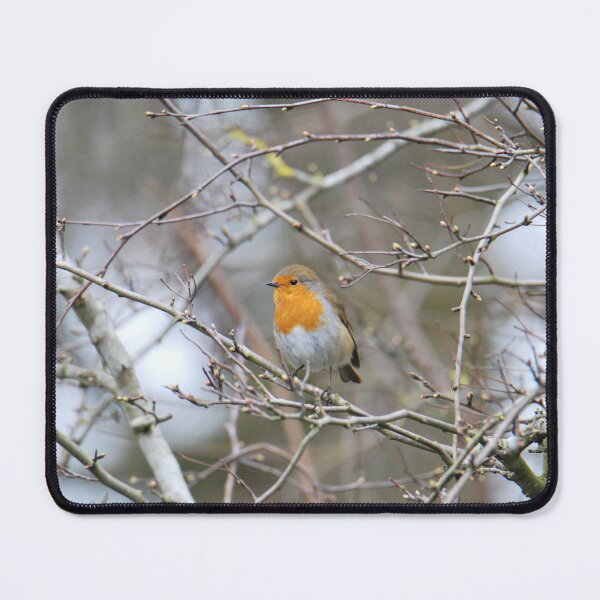 Item preview, Robin in the banches  designed and sold by LJarts.