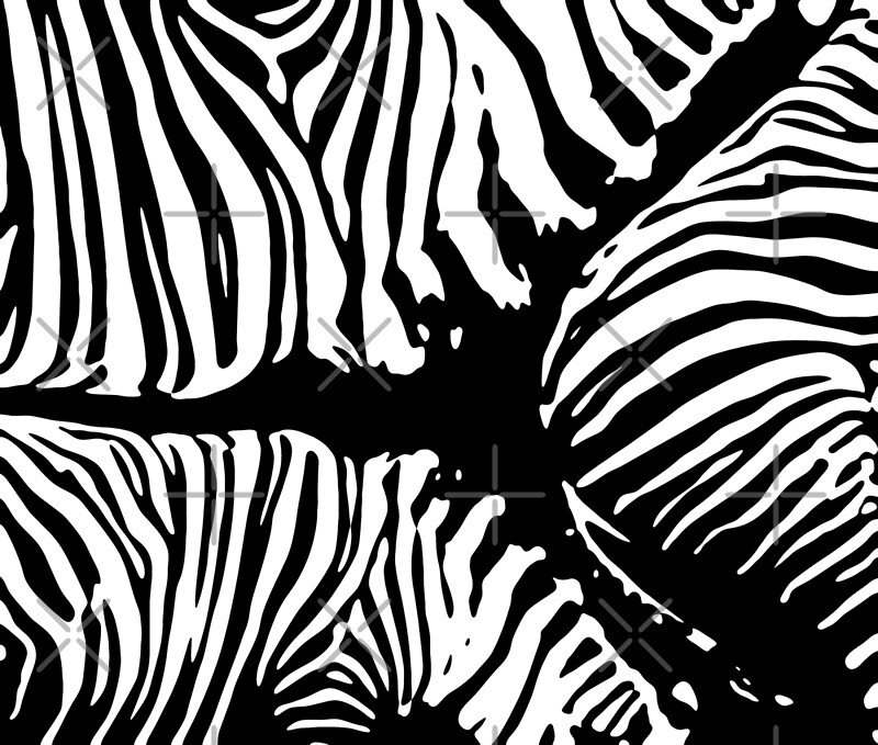 "Zebra Camo Pattern Black and White" by Quooki Redbubble
