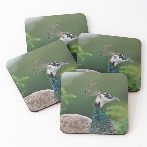 Item preview, Peahen designed and sold by LJarts.