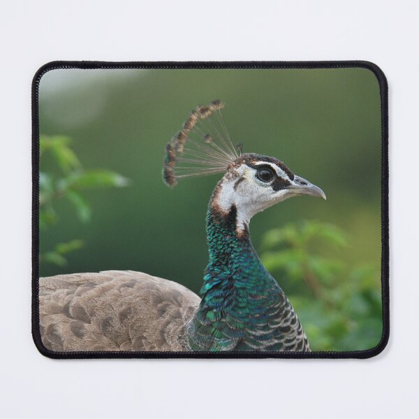 Item preview, Peahen designed and sold by LJarts.
