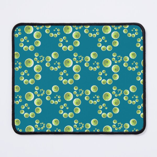 Item preview, Sundial shell spirals ditsy repeat in teal designed and sold by LisaLeQuelenec.