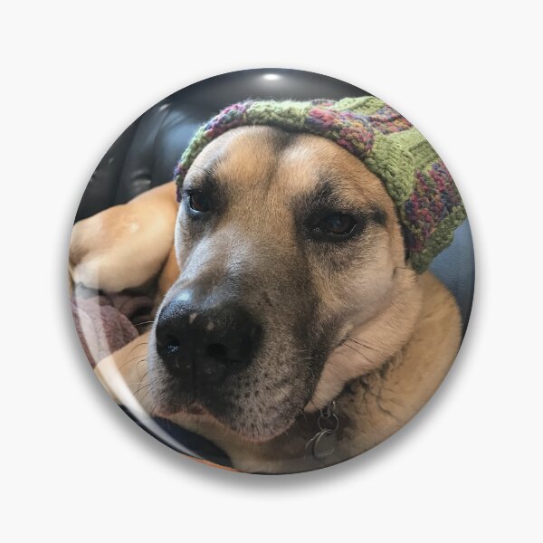Item preview, Dog in hat designed and sold by Sarah Meytin.