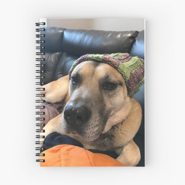 Item preview, Dog in hat designed and sold by Sarah Meytin.