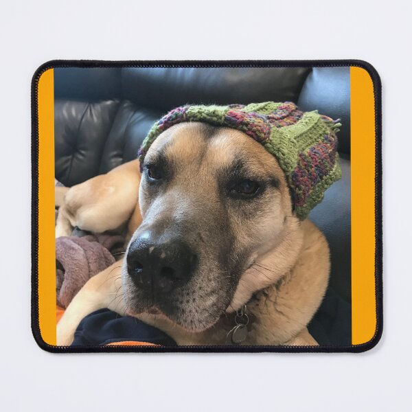 Item preview, Dog in hat designed and sold by Sarah Meytin.