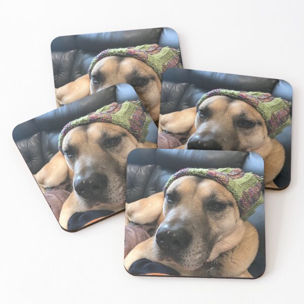 Item preview, Dog in hat designed and sold by Sarah Meytin.