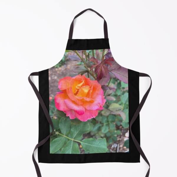 Item preview, Hybrid tea rose designed and sold by Sarah Meytin.