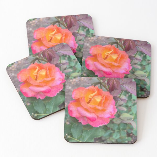Item preview, Hybrid tea rose  designed and sold by Sarah Meytin.
