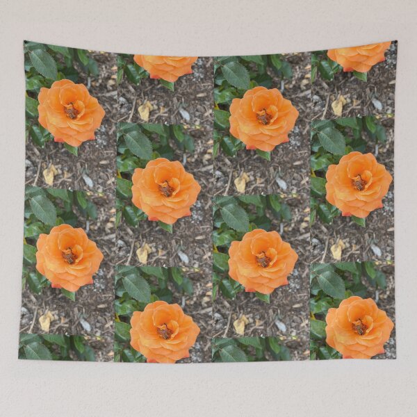 Item preview, Orange China Rose designed and sold by Sarah Meytin.